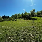Coco Villa